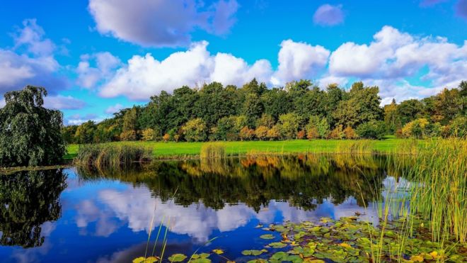 Stunning Nature Wallpapers For Your Desktop