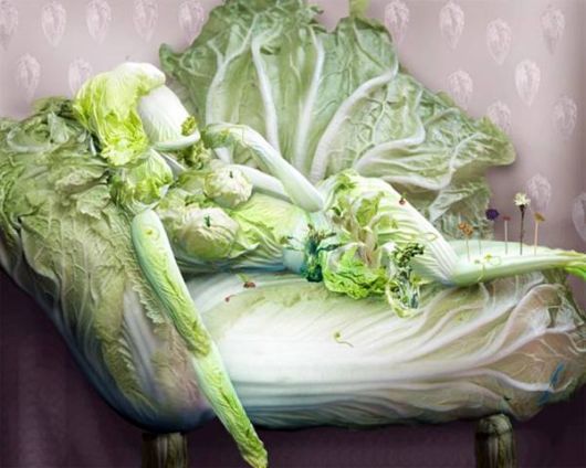 Amazing Art Of Cabbage