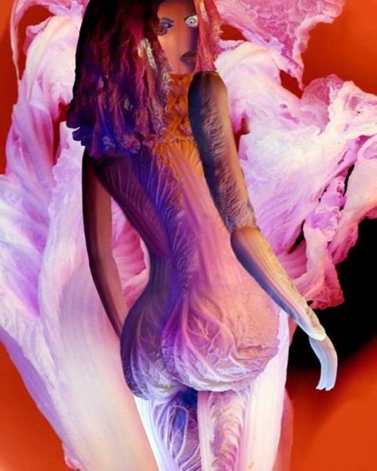 Amazing Art Of Cabbage