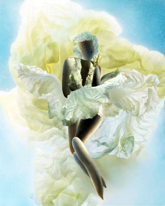 Amazing Art Of Cabbage