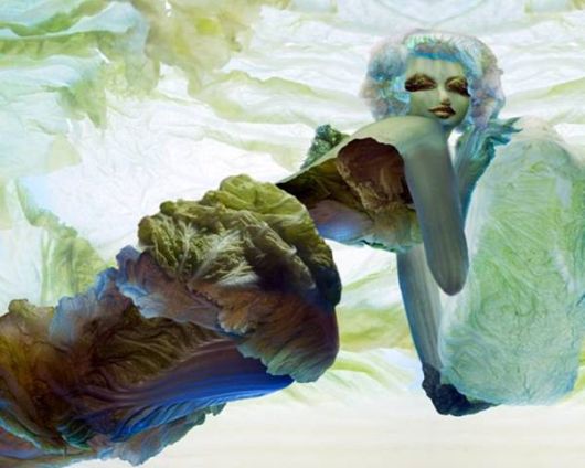 Amazing Art Of Cabbage