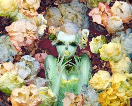 Amazing Art Of Cabbage