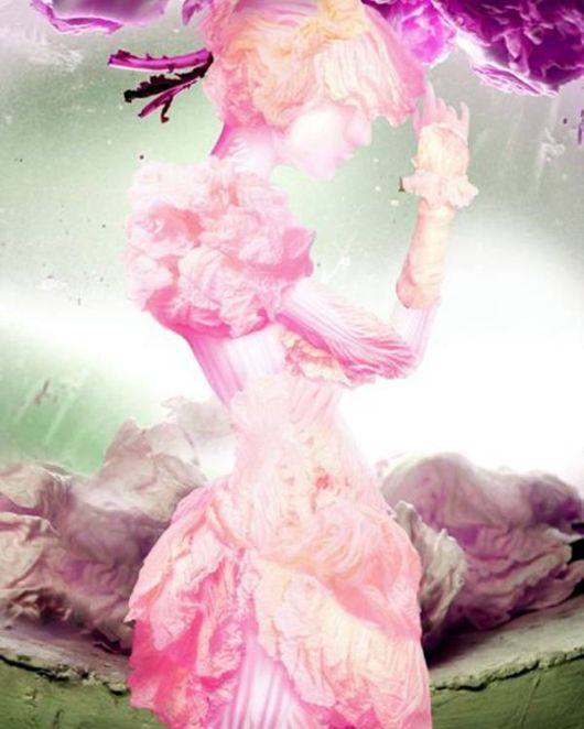 Amazing Art Of Cabbage