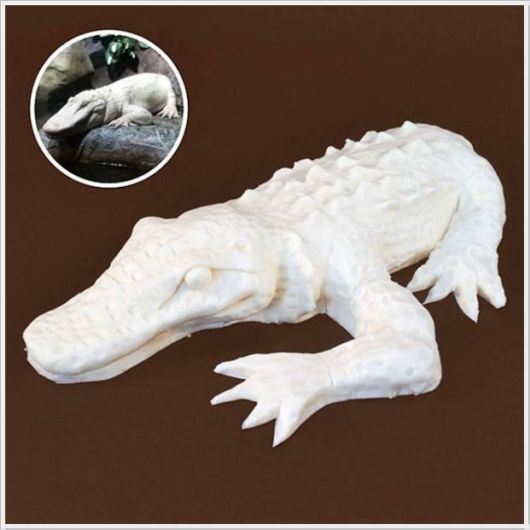 Wonderful Artwork With Cream And Cookies