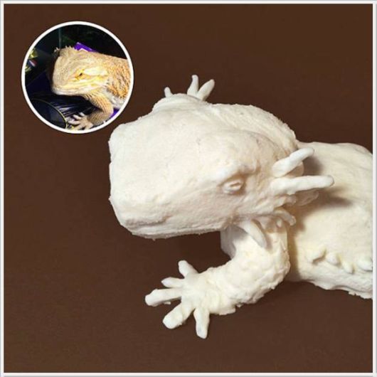 Wonderful Artwork With Cream And Cookies