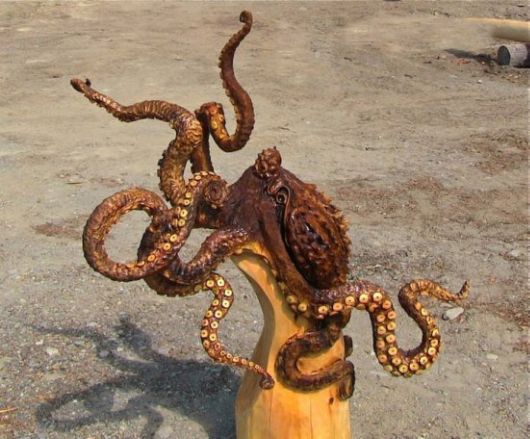 These Wooden Logs Got New Life As Stunning Art