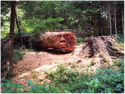 These Wooden Logs Got New Life As Stunning Art