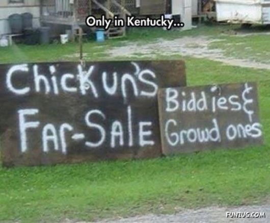 If You Like Bad Speling N Grammer Your Gonna Luv This