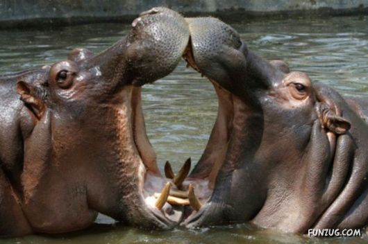 This Can Be Seen Only In India