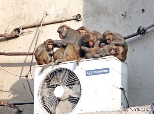 This Can Be Seen Only In India