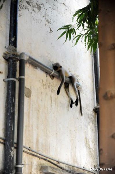 This Can Be Seen Only In India