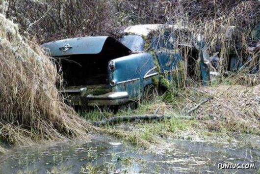 Crazy Car Cemetery In The Forest