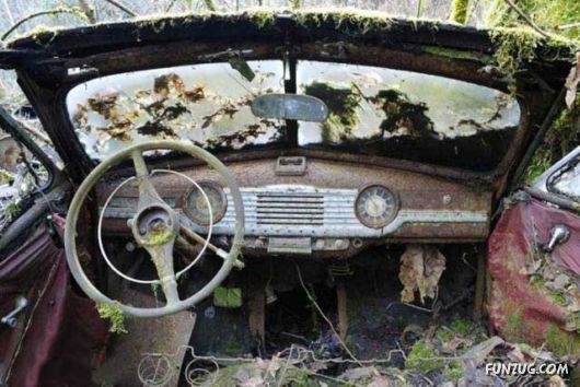 Crazy Car Cemetery In The Forest