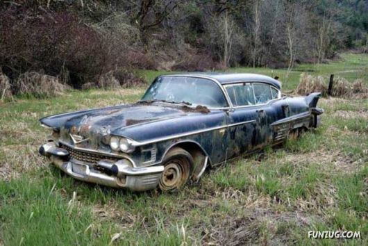 Crazy Car Cemetery In The Forest