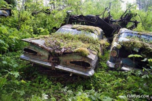 Crazy Car Cemetery In The Forest