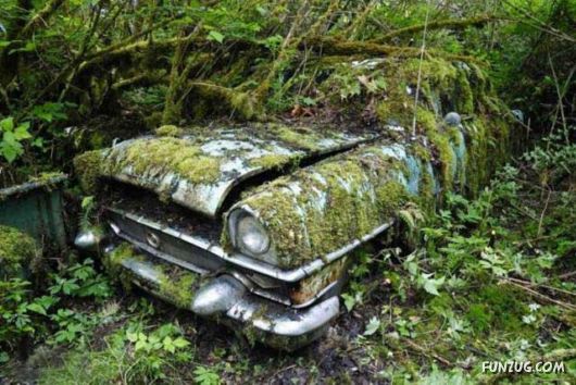 Crazy Car Cemetery In The Forest