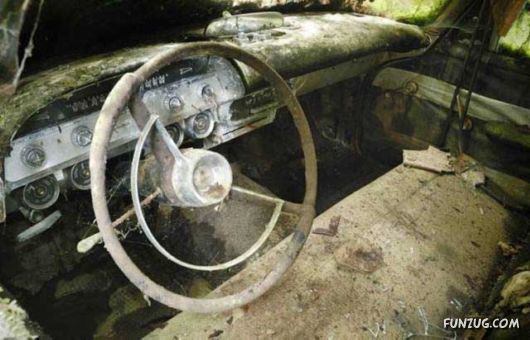 Crazy Car Cemetery In The Forest