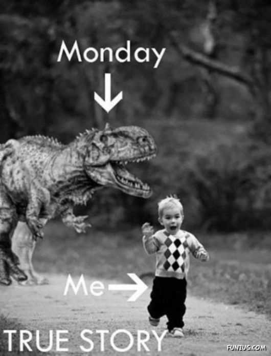 This Is Monday