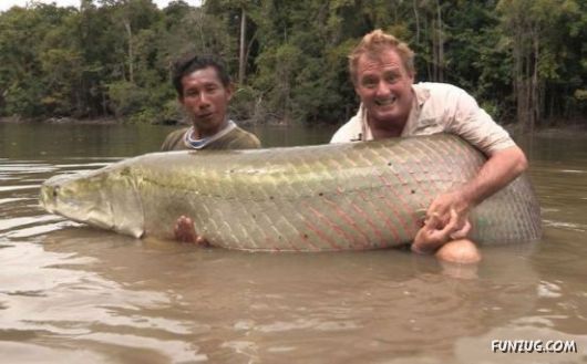 Whoa Dude! (Crazy Pictures)