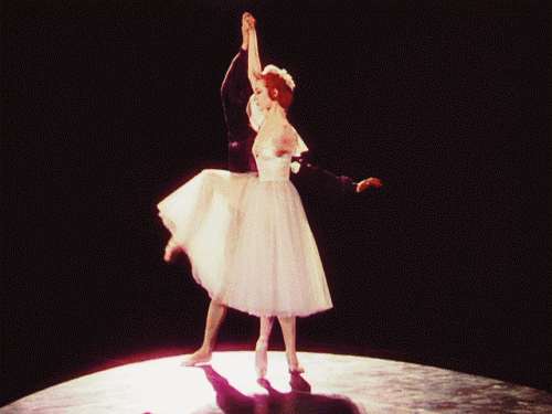 Amazing Animated GIFs Of The Week