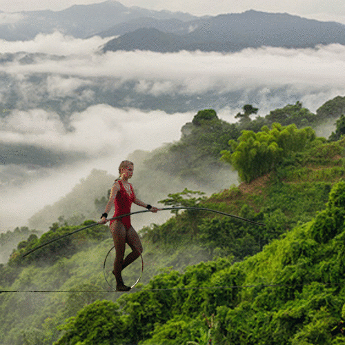 Amazing Animated GIFs Of The Week