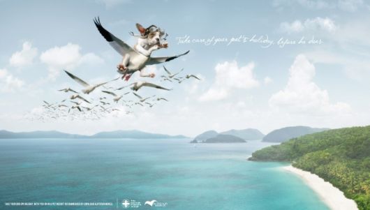 Very Creative Graphical Ads