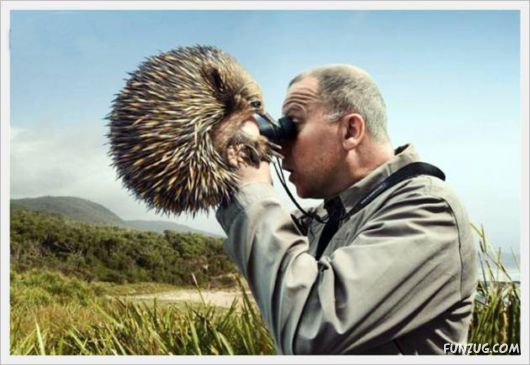 Photoshop Photo Retouch