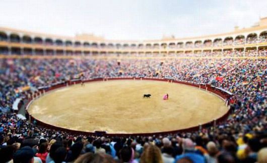 Toy World Real Illusions