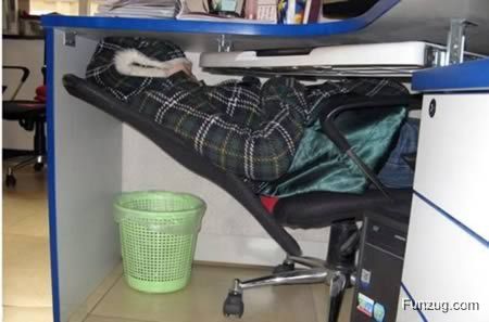 Funniest People Caught Sleeping On The Job