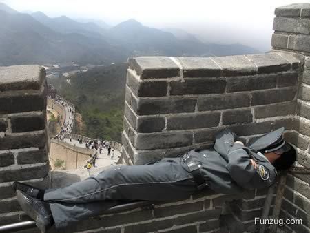 Funniest People Caught Sleeping On The Job