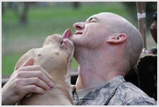 Cool Crazy Pix Of The Day