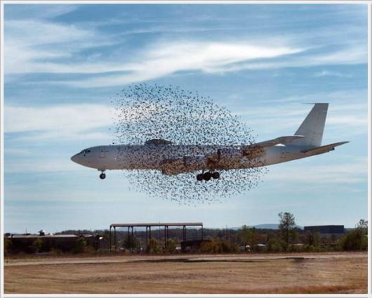 Cool Crazy Pix Of The Day