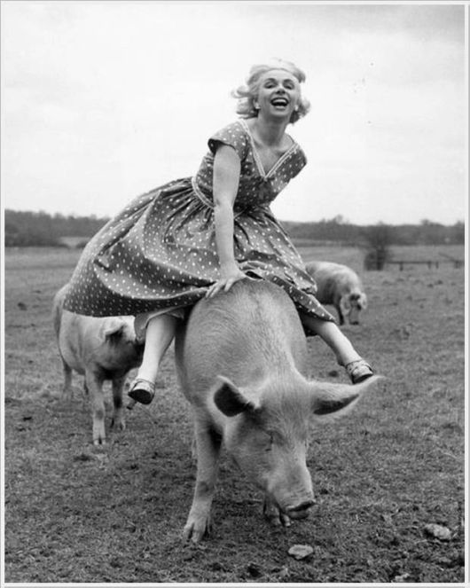 Cool Crazy Pix Of The Day