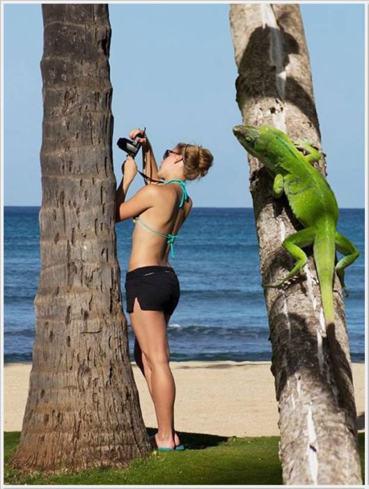 Cool Crazy Pix Of The Day