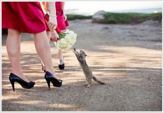 Cool Crazy Pix Of The Day