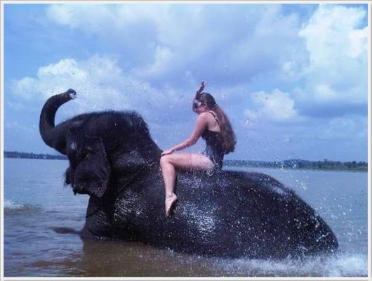 Cool Crazy Pix Of The Day