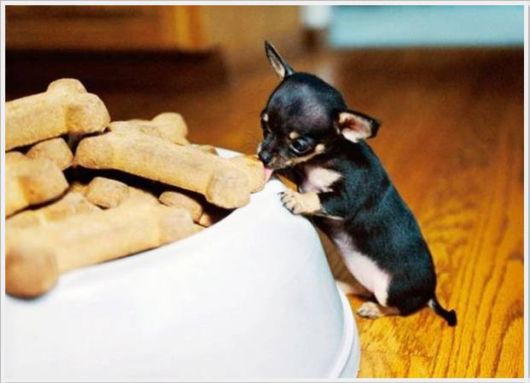 Cool Crazy Pix Of The Day