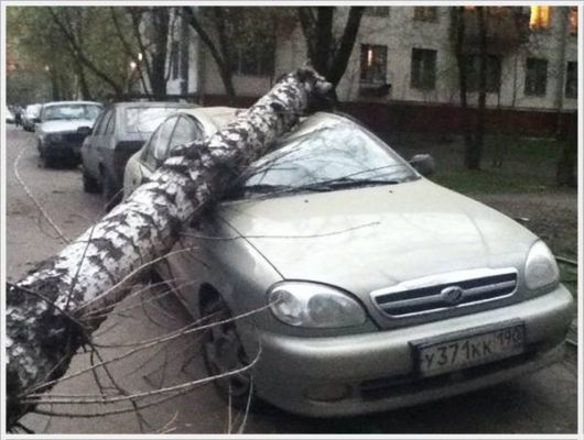 Cool Crazy Funny Pix