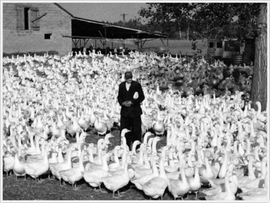 Cool Crazy Funny Pix