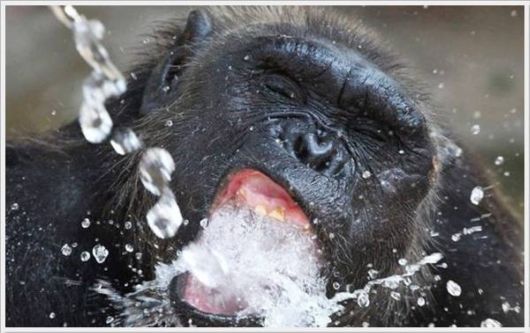 Cool Crazy Funny Pix