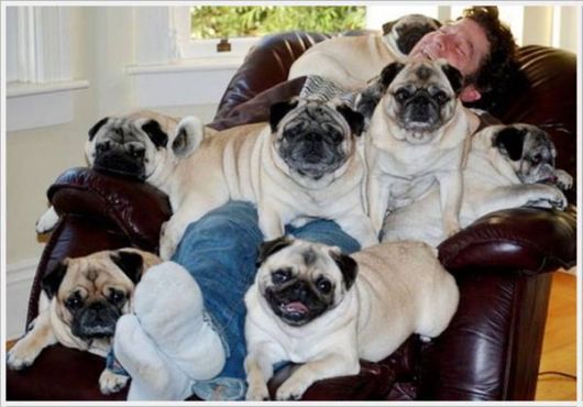 Cool Crazy Funny Pix