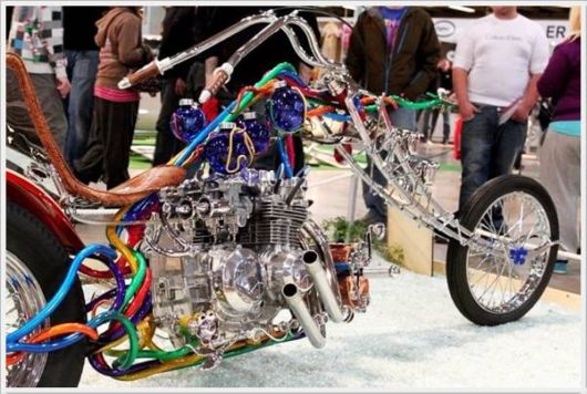 Cool Crazy Funny Pix