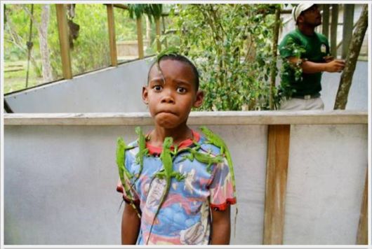 Cool Crazy Funny Pix