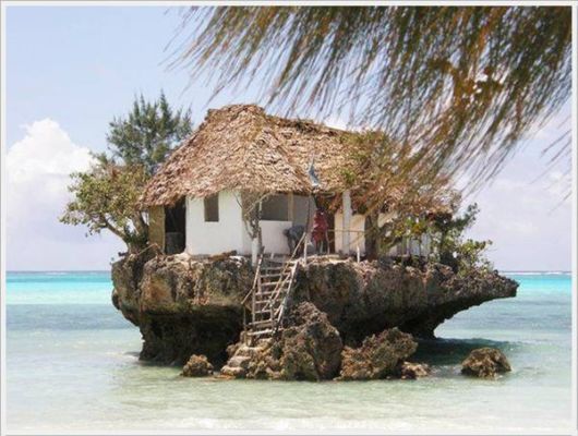 Cool Crazy Funny Pix