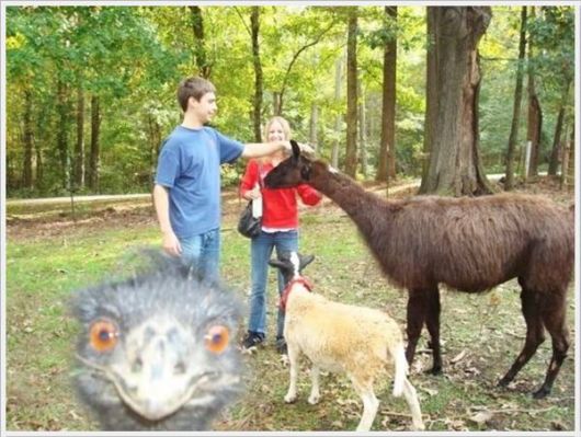 Cool Crazy Funny Pix