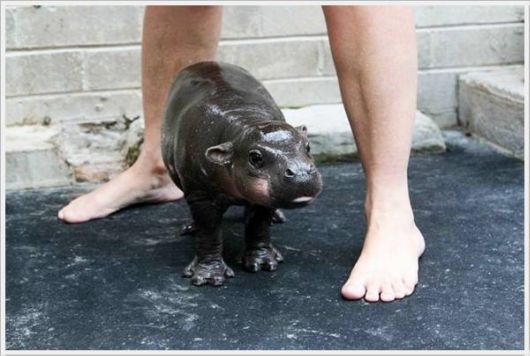 Cool Crazy Funny Pix