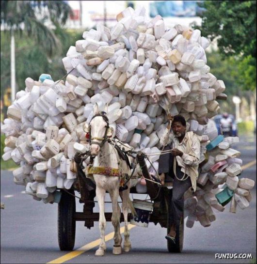 Cool Funny Pictures To Make You Smile