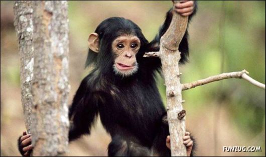 Cool Funny Pictures To Make You Smile