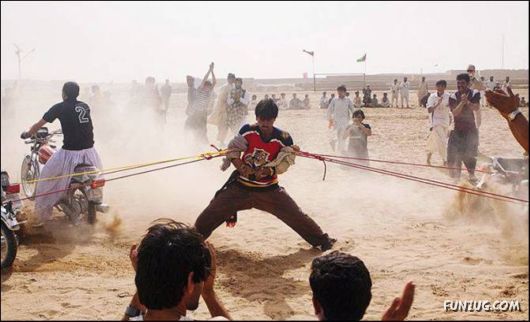 Cool Funny Pictures To Make You Smile