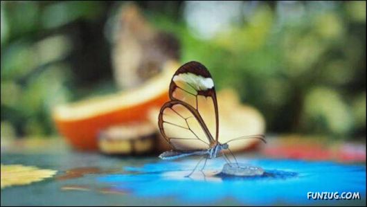 Cool Funny Pictures To Make You Smile